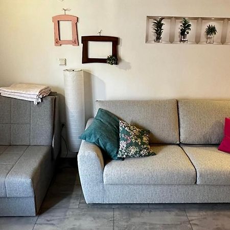Lara Deluxe Superior 5 Star Apartment, Your Piece Of Heaven By The Sea & Park Novigrad Istria Esterno foto